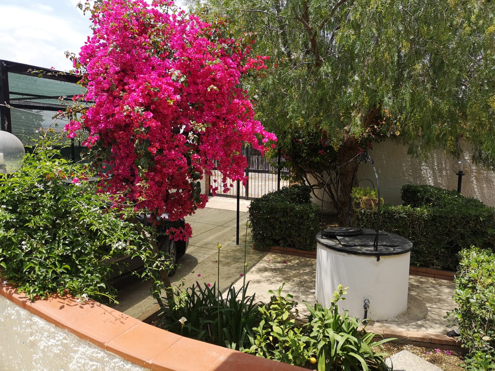 Vista del giardino