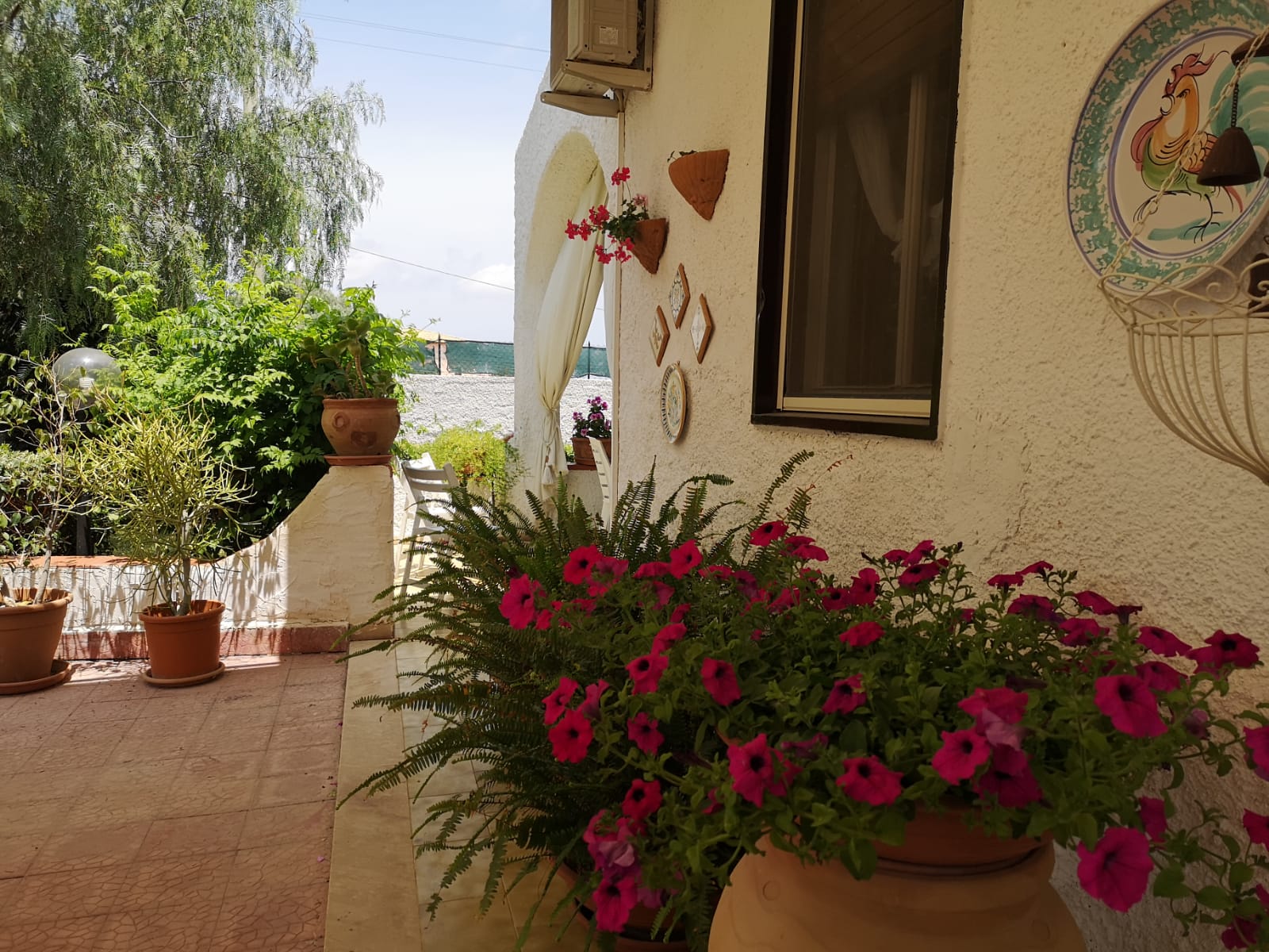 Vialetto del giardino