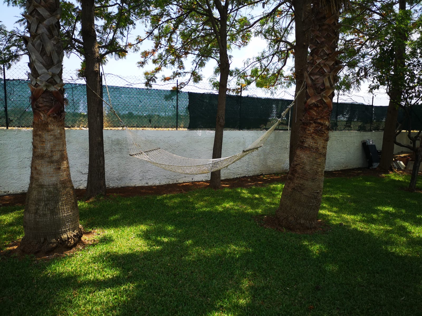 Zona relax con ombrelloni e palme