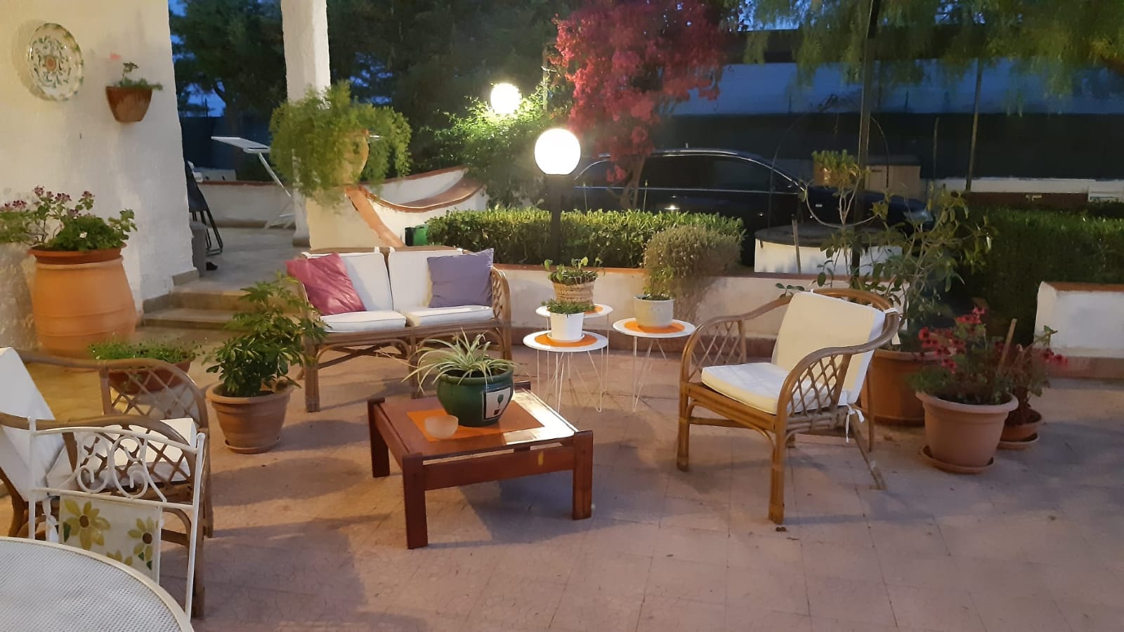 Vista del giardino al tramonto