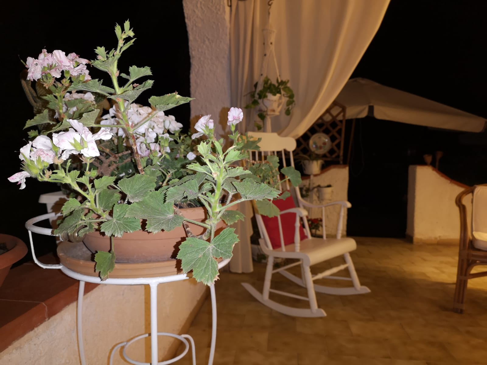 WhatsApp Image 2023-08-08 at 09.57.19 (1)