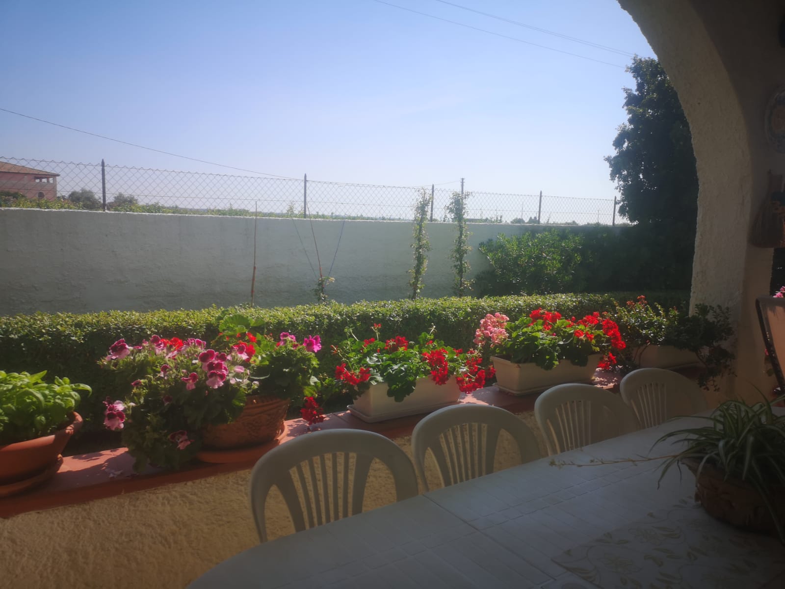 WhatsApp Image 2023-08-08 at 09.58.46