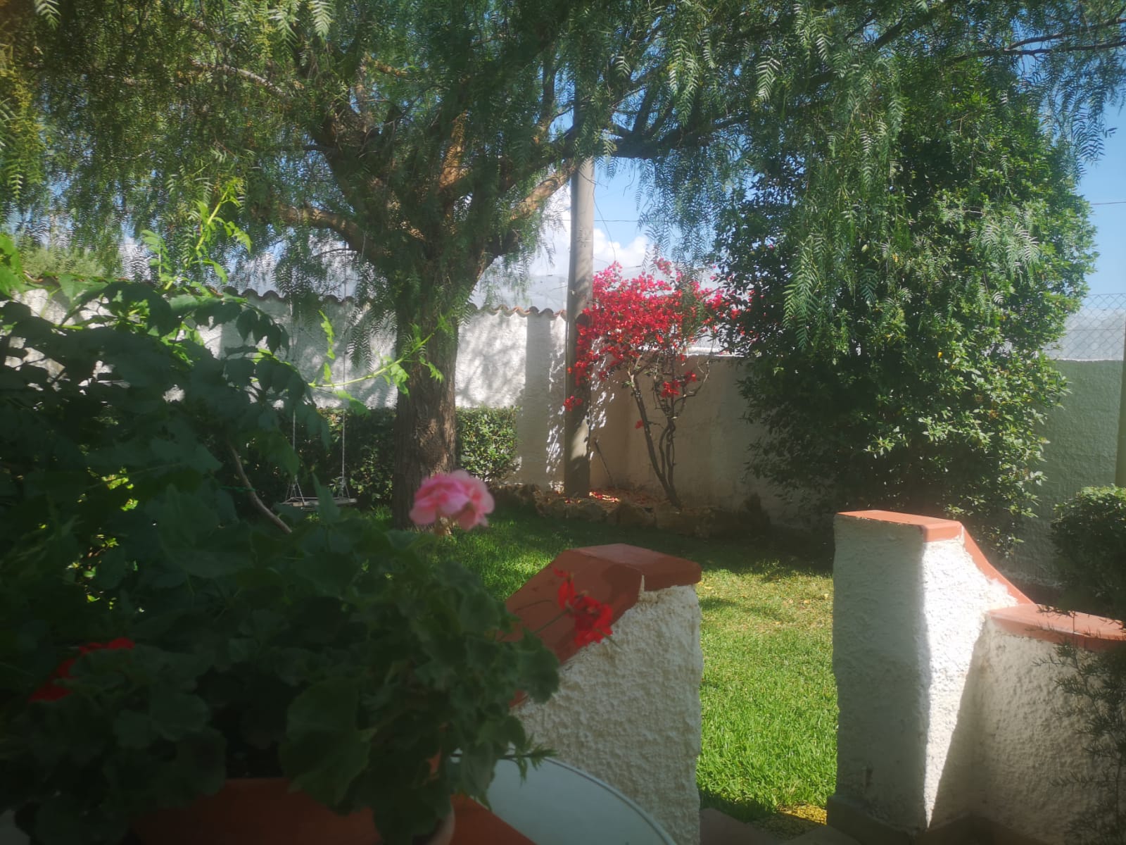 WhatsApp Image 2023-08-08 at 09.58.48