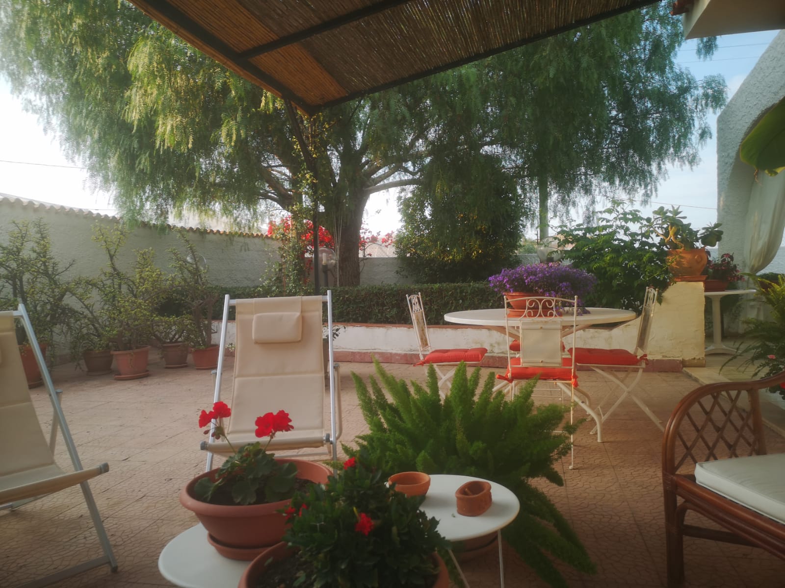 WhatsApp Image 2023-08-08 at 09.58.49