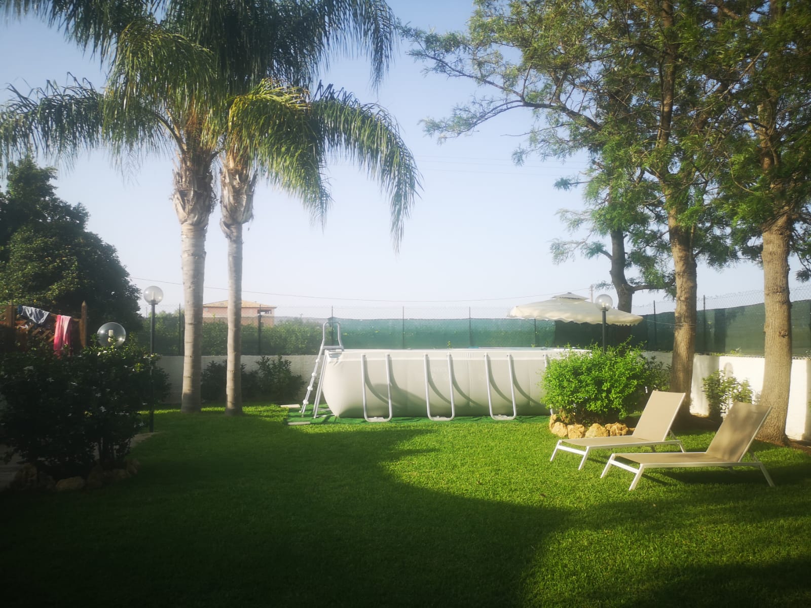 WhatsApp Image 2023-08-08 at 09.58.54 (1)