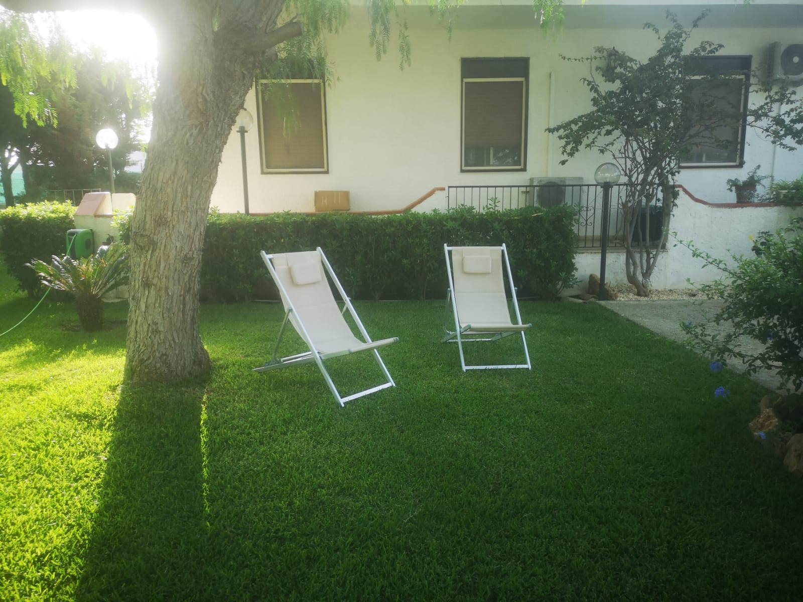 WhatsApp Image 2023-08-08 at 09.58.59